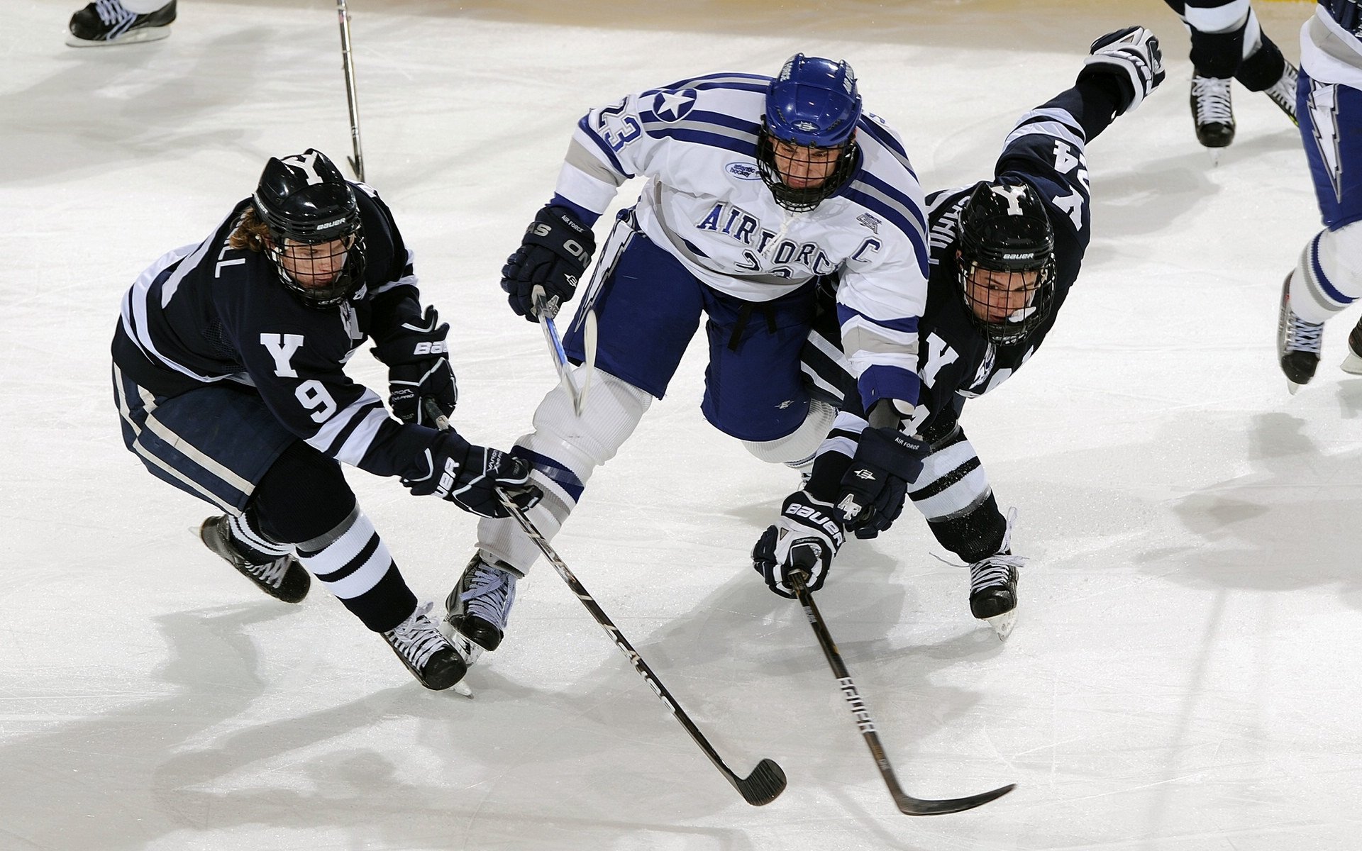 开云官网-体育主场气氛热烈，球迷支持强劲，分析竞技体育主场优势的表现形式及成因