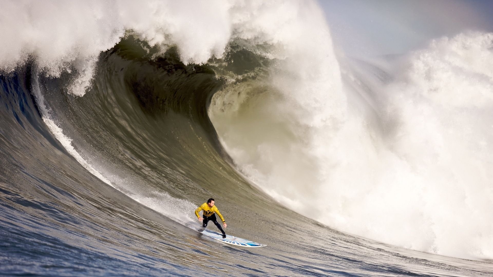 开云体育博彩-综合马术比赛裁判评分规则，马术比赛评分标准